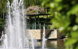 校園風光